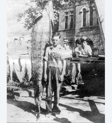 57_Randall Haddock_Atlantic Gulf Sturgeon_Acipenser oxyrinchus.jpg